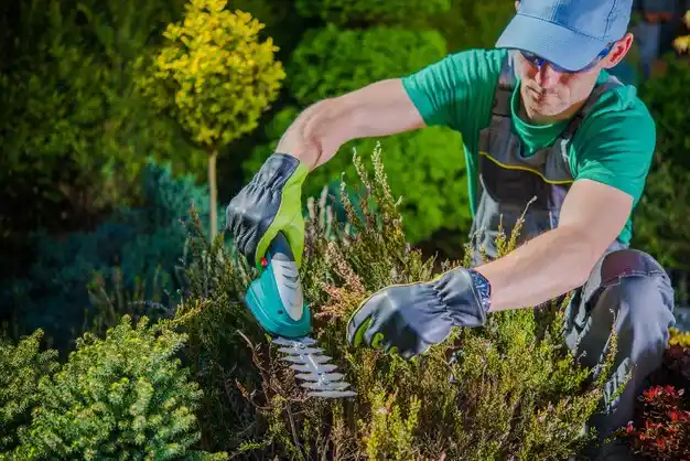 landscaping services Supreme